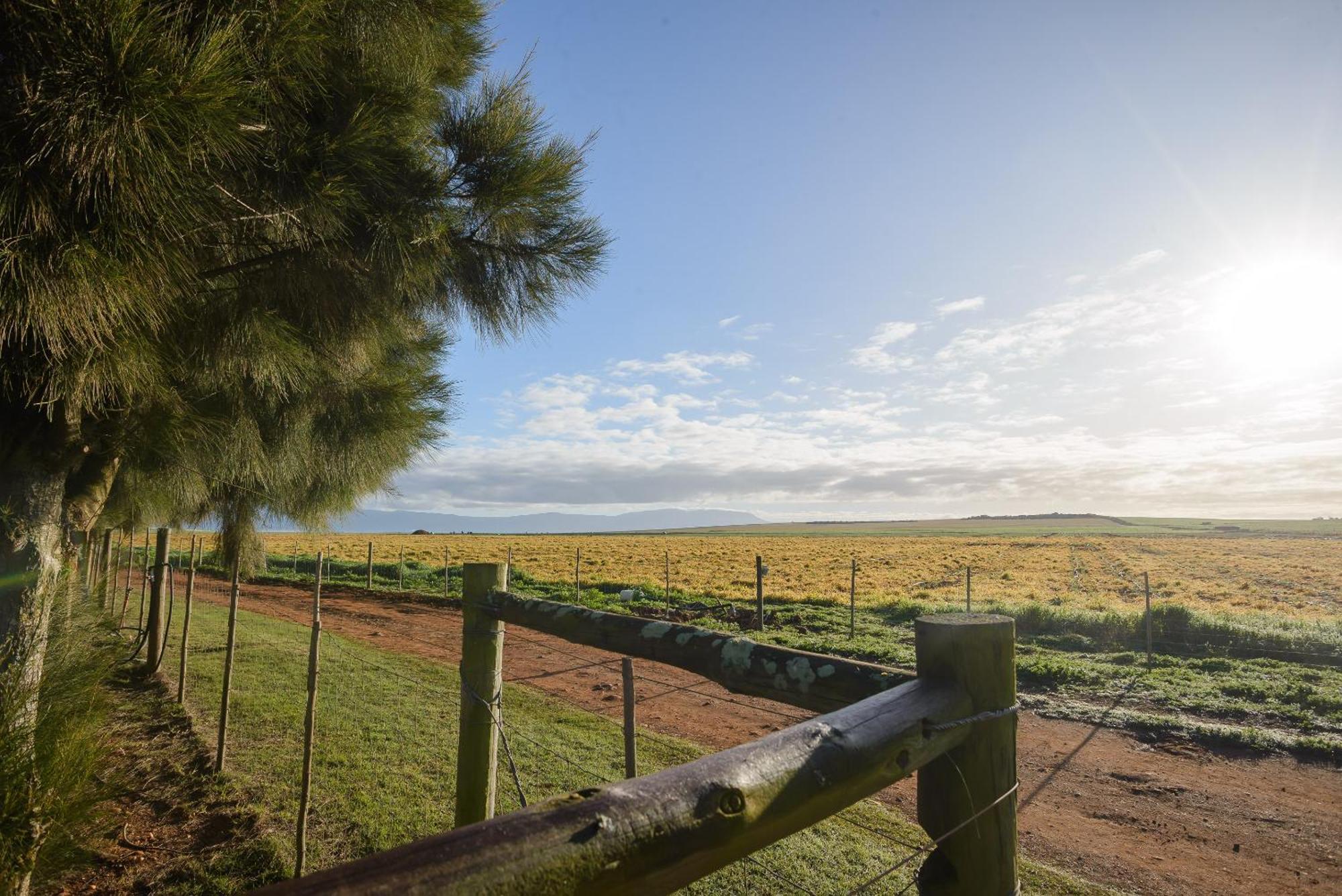 Oorvloed Guesthouse Swellendam Eksteriør billede